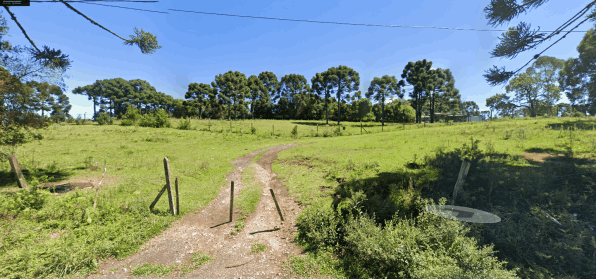 Terrenos à venda em Canela - RS