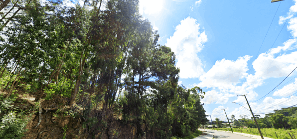 Terrenos à venda em Canela - RS